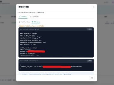 【超详细完整版】在Windows上使用CodeX api配置VSCode的教程